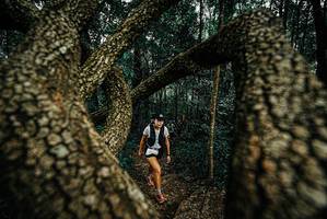 BIB: 
                            <button type="button" onclick="openModal(25674128)" class="btn btn-primary btn-sm float-right btn-popup" data-toggle="modal" data-target=".modal-high-quality">
                        <i class="fas fa-shopping-cart"></i> Add to Cart
                    </button>
                                            <button type="button" onclick="isThisMe(25674128, true)" class="btn btn-success btn-sm float-right btn-popup btn-isme hidden" data-toggle="tooltip" data-placement="bottom" title="นี่คือรูปของคุณใช่ไหม คลิกที่นี่เพื่อเอาเข้าอัลบั้ม">
                        <i class="fas fa-plus"></i> Add to album
                    </button>
                    <button type="button" onclick="isThisMe(25674128, false)" class="btn btn-warning btn-sm float-right btn-popup btn-isnotme hidden">
                        <i class="fas fa-ban"></i> Remove from album
                    </button>